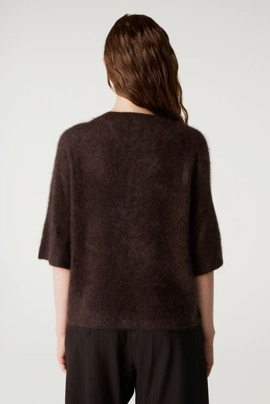 26W-ABSOLU CACHMERE-PULL-BRUIN DONKER